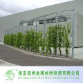 Fornecedor de alibaba china Porta de interior ou exterior Antioxidante de aço inoxidável Planta verde Escalada de parede